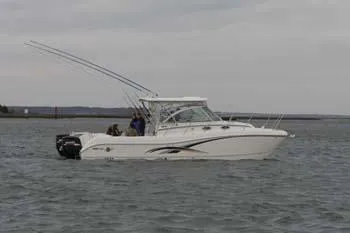 Slide: The Image of World Cat 320 EC 2008 - 4