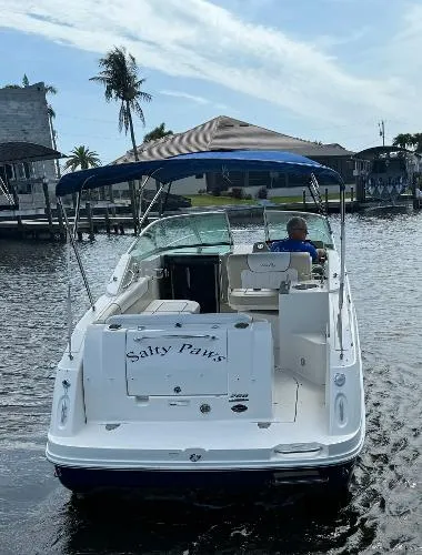 Slide: The Image of Sea Ray 260 Sundancer 2013 - 5
