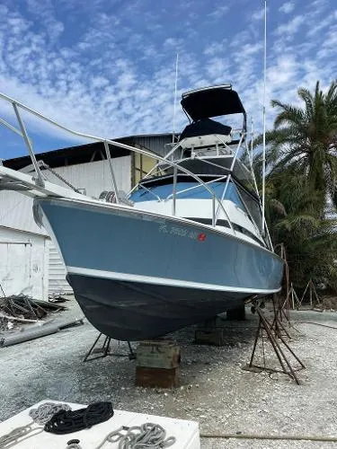 Slide: The Image of Bertram 31 Bahia Mar 1967 - 4