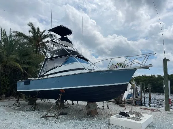 Slide: The Image of Bertram 31 Bahia Mar 1967 - 5
