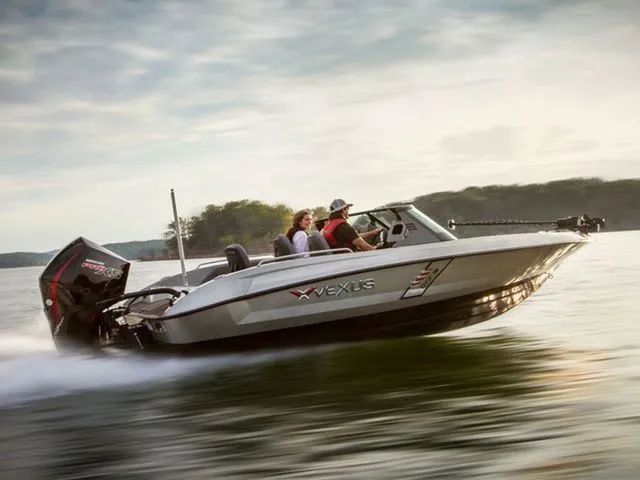 The Image of Vexus DVX19 2022 - 1