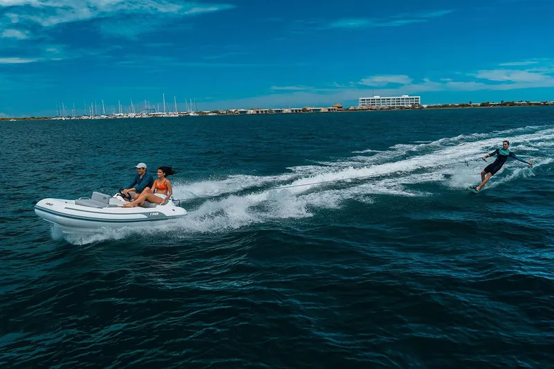 Slide: The Image of Manufacturer Provided Image: Manufacturer Provided Image - 4