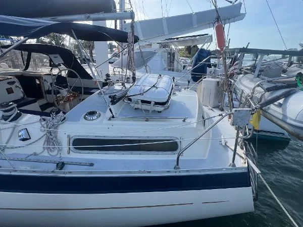 Slide: The Image of Moody 40 (Primrose) 1980 - 11