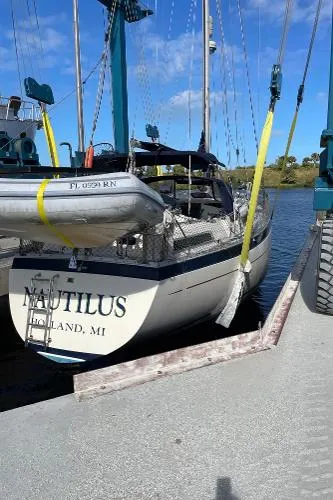 Slide: The Image of Moody 40 (Primrose) 1980 - 2