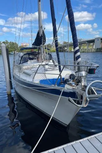 Slide: The Image of Moody 40 (Primrose) 1980 - 3