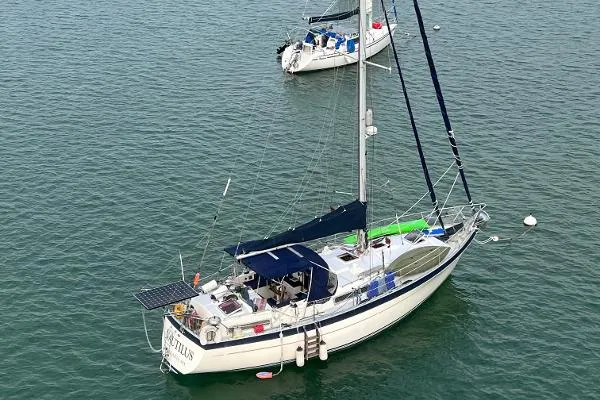 Slide: The Image of Moody 40 (Primrose) 1980 - 4