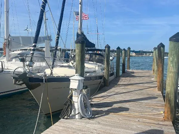 Slide: The Image of Moody 40 (Primrose) 1980 - 5