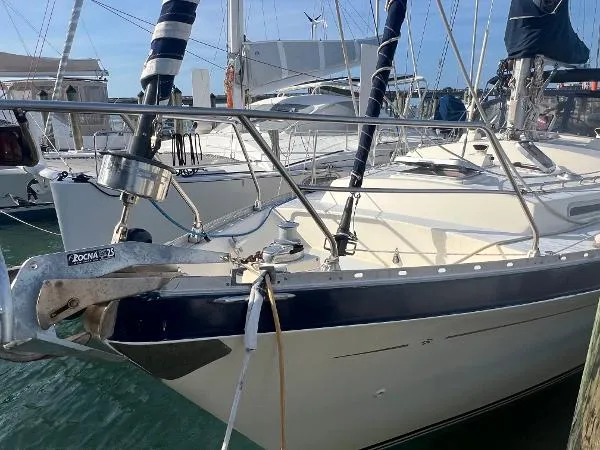 Slide: The Image of Moody 40 (Primrose) 1980 - 7