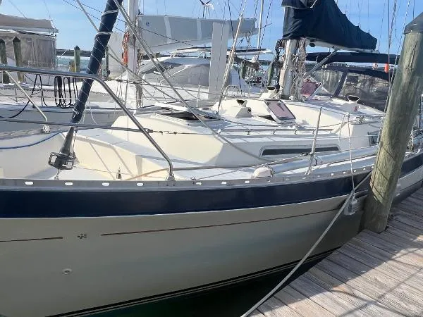 Slide: The Image of Moody 40 (Primrose) 1980 - 8