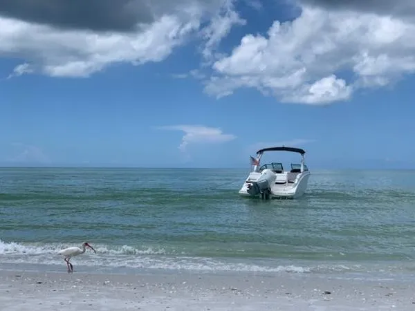 Slide: The Image of Sea Ray SDX 270 Outboard 2019 - 0