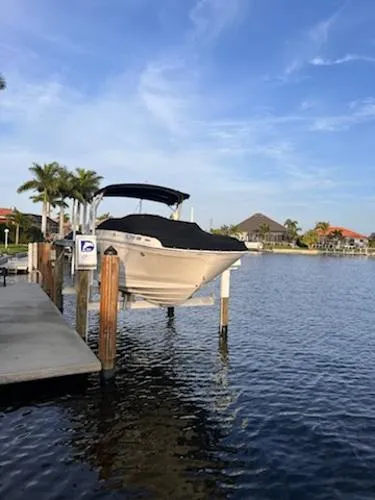 Slide: The Image of Sea Ray SDX 270 Outboard 2019 - 2