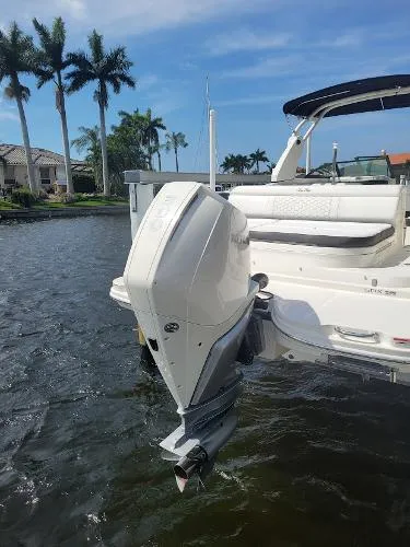 Slide: The Image of Sea Ray SDX 270 Outboard 2019 - 6