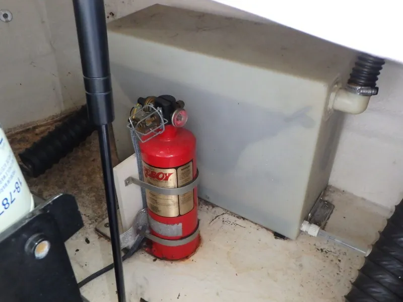 Slide: The Image of Chaparral Sunesta 254 2005 - 52