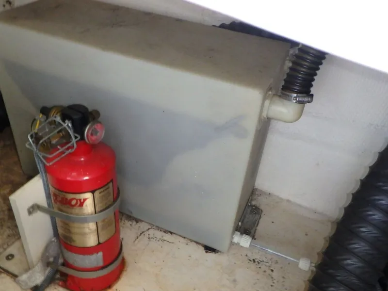 Slide: The Image of Chaparral Sunesta 254 2005 - 55