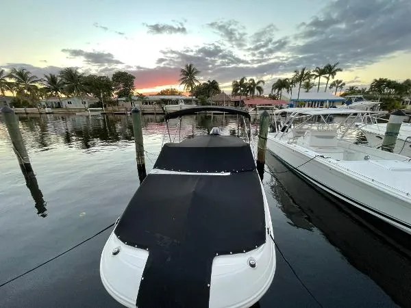 Slide: The Image of Sea Ray SDX 250 2019 - 4