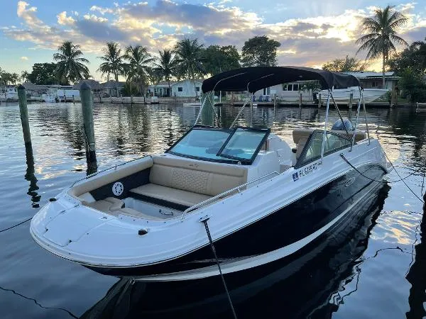 Slide: The Image of Sea Ray SDX 250 2019 - 5