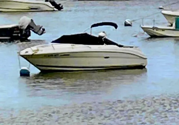 Slide: The Image of Sea Ray 215 Weekender 2007 - 4