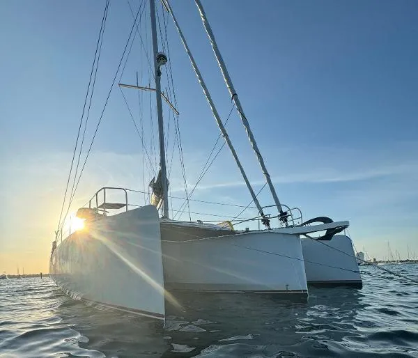 Slide: The Image of Neel 51 2019 - 1