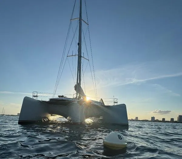 Slide: The Image of Neel 51 2019 - 2