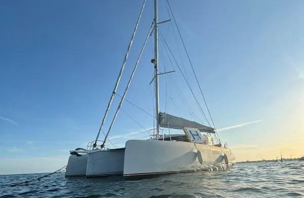 Slide: The Image of Neel 51 2019 - 3