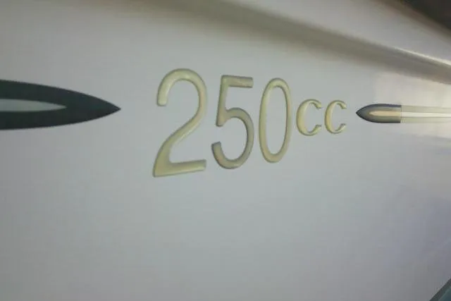 Slide: The Image of Close-up of 2002 Everglades 250 Center Console boat emblem. - 53