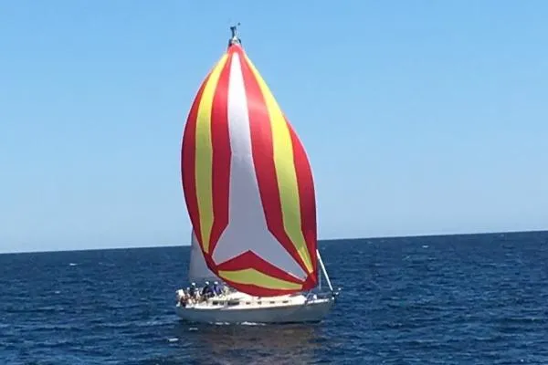 Slide: The Image of Sabre 38 1982 - 8