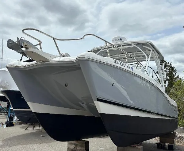 Slide: The Image of World Cat 255 DC 2019 - 0