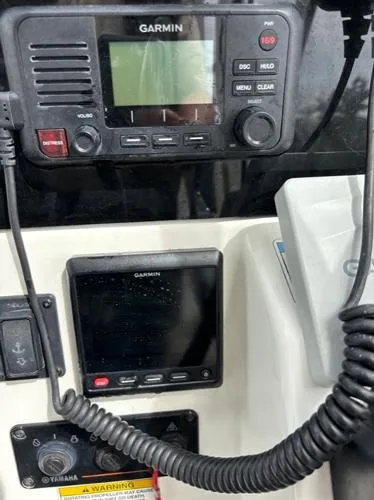 Slide: The Image of World Cat 255 DC 2019 - 10