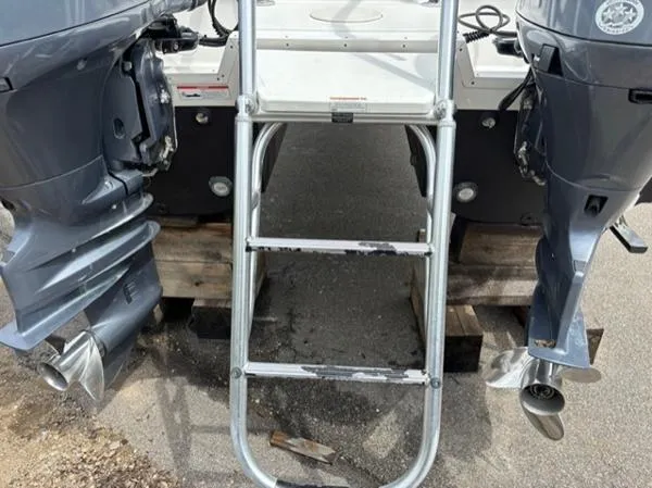 Slide: The Image of World Cat 255 DC 2019 - 5