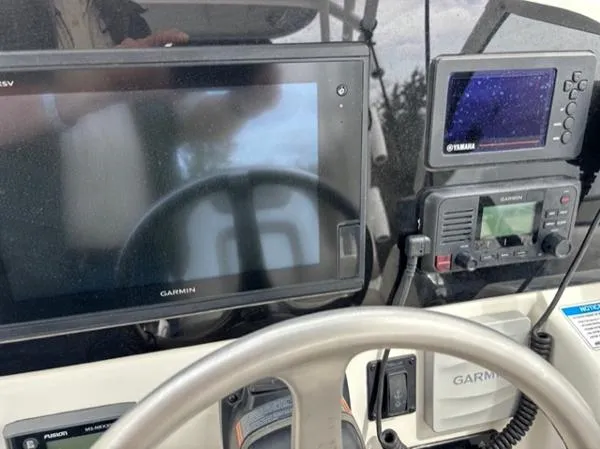 Slide: The Image of World Cat 255 DC 2019 - 9