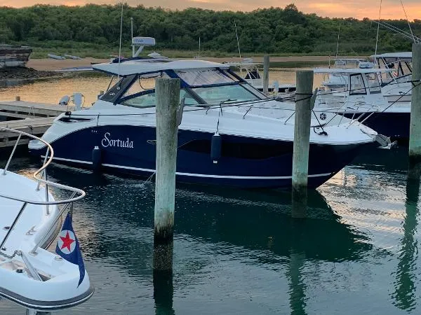 Slide: The Image of Sea Ray Sundancer 320 2020 - 8