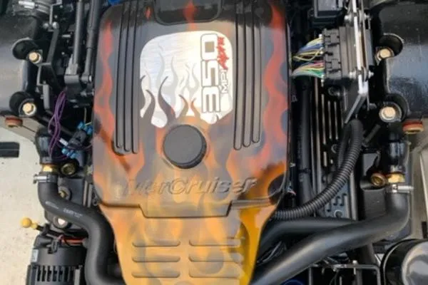 Slide: The Image of Stingray 22 Cuddy 2001 - 3