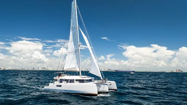 Slide: The Image of Neel 51 2019 - 2