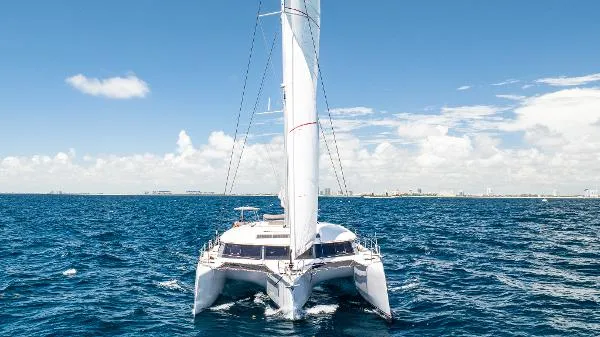 Slide: The Image of Neel 51 2019 - 3