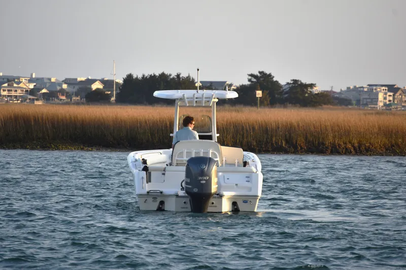 Slide: The Image of 2021 Tidewater 232 LXF boat cruising on a calm waterway near coastal homes. - 5