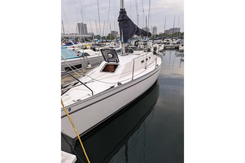 The Image of 1985 Canadian Sailcraft CS 30 sailboat docked in a marina, surrounded by other boats. - 0
