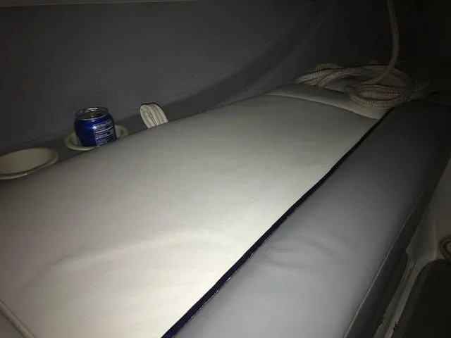 Slide: The Image of Cobalt 206 1999 - 11