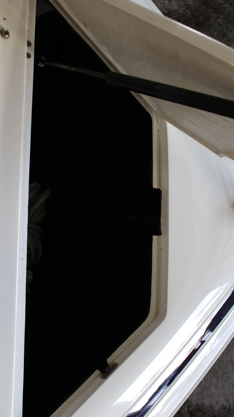 Slide: The Image of Cobalt 252 1996 - 17