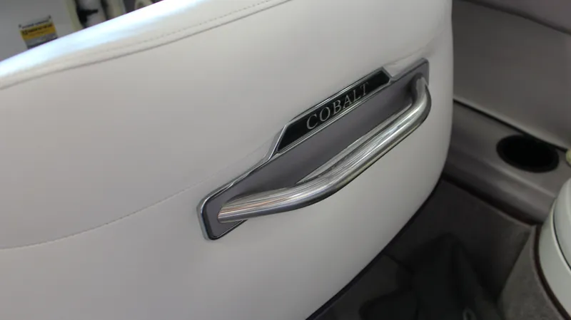 Slide: The Image of Cobalt 252 1996 - 24