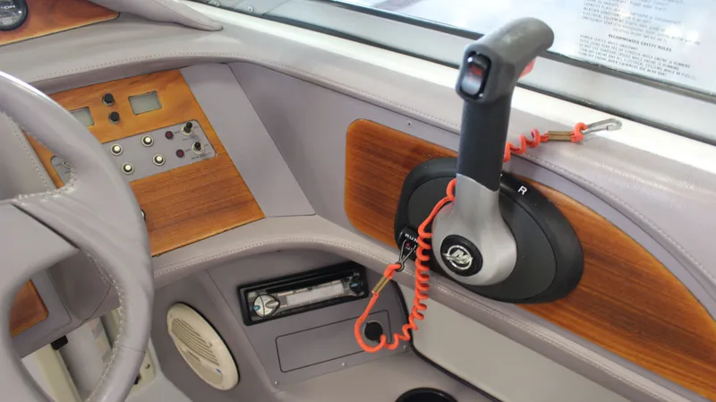 Slide: The Image of Cobalt 252 1996 - 26