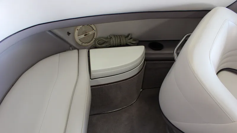 Slide: The Image of Cobalt 252 1996 - 31