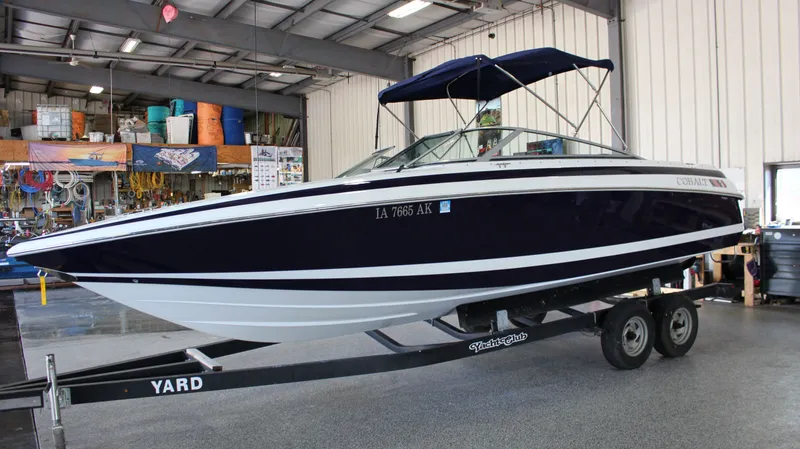 Slide: The Image of Cobalt 252 1996 - 4