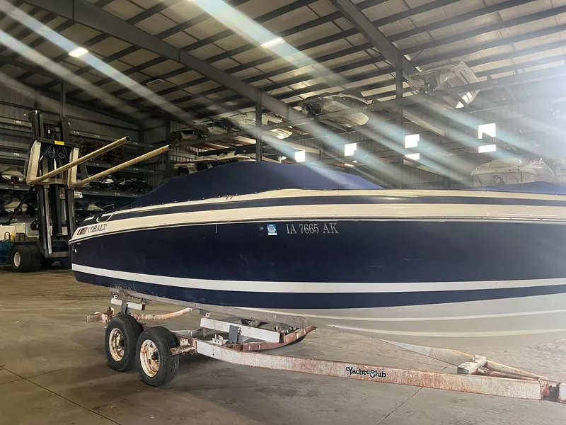 Slide: The Image of Cobalt 252 1996 - 47