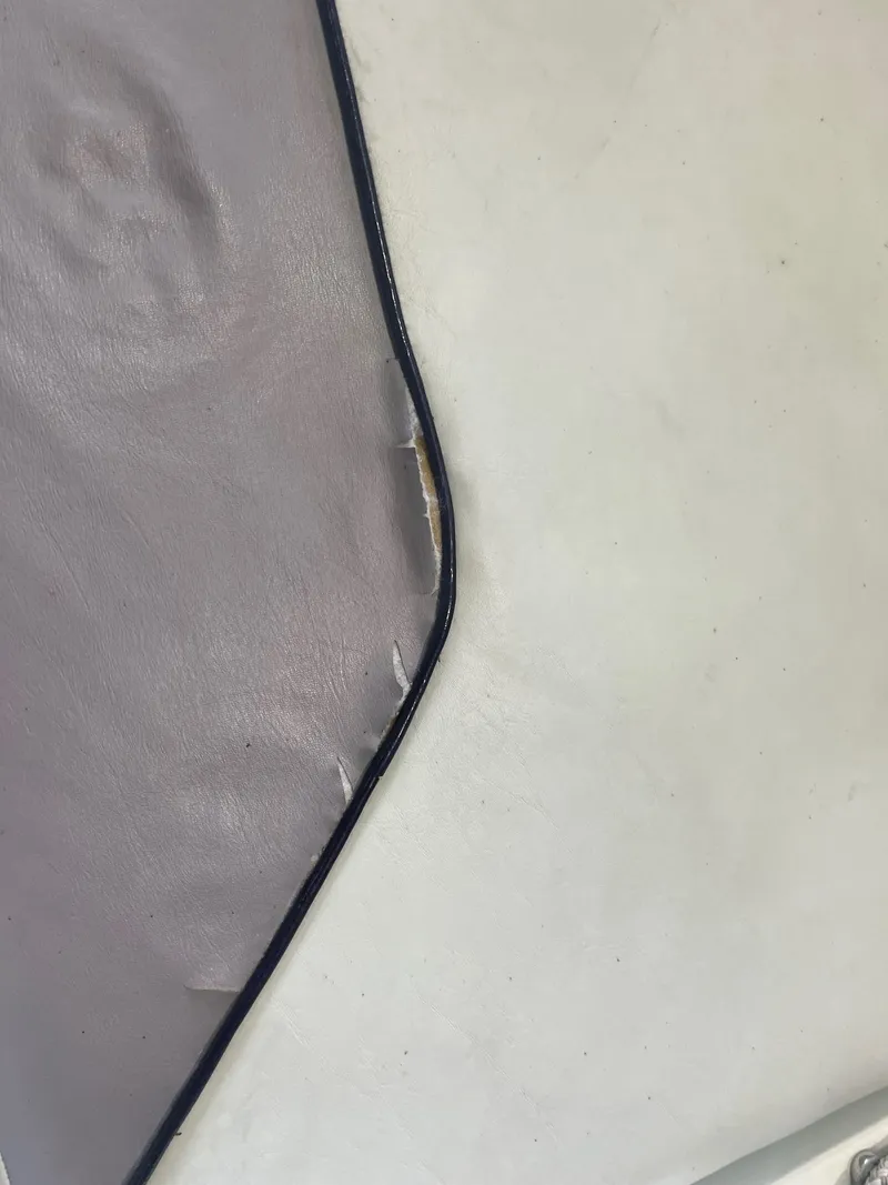 Slide: The Image of Cobalt 252 1996 - 48