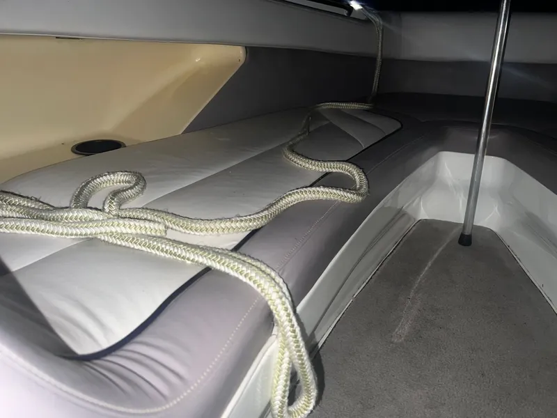 Slide: The Image of Cobalt 252 1996 - 53