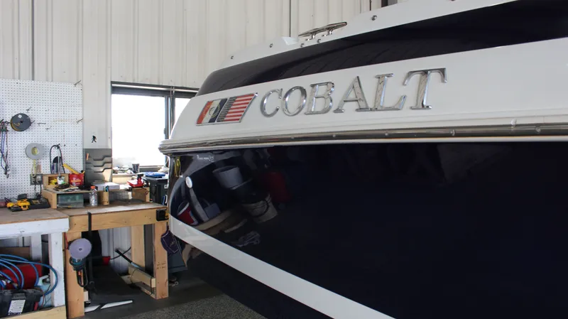 Slide: The Image of Cobalt 252 1996 - 9