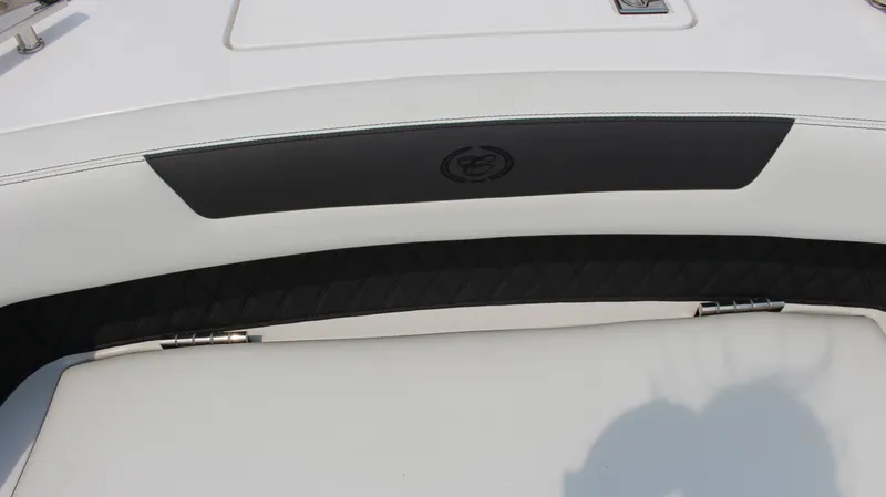 Slide: The Image of Cobalt R31 Surf 2025 - 15