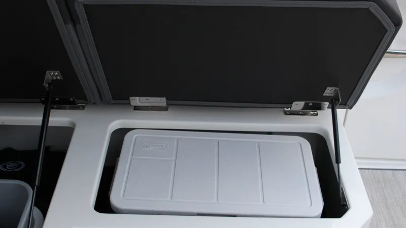 Slide: The Image of Cobalt R33 2025 - 30