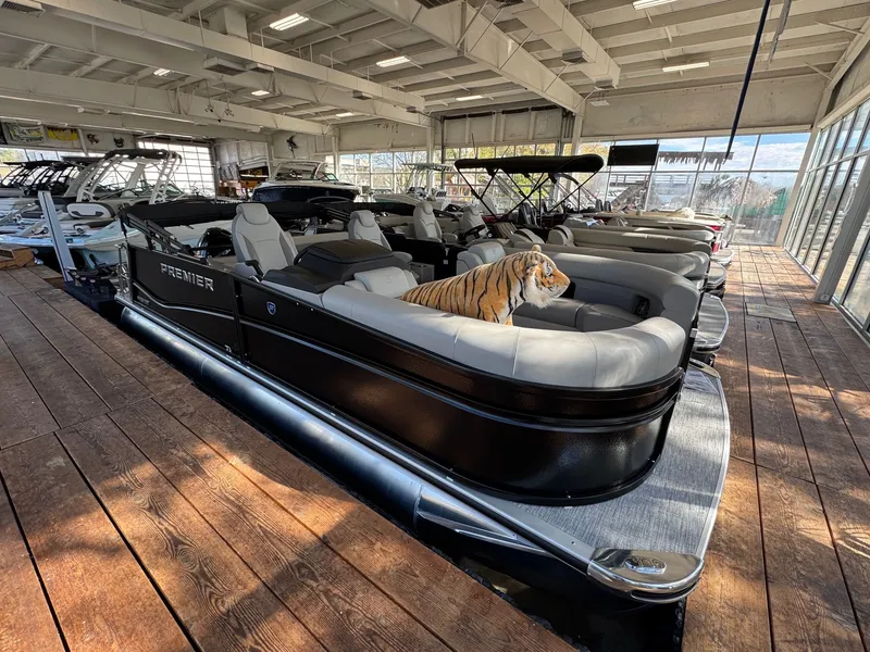 Slide: The Image of Premier Sunsation 210 Bed 2024 - 1