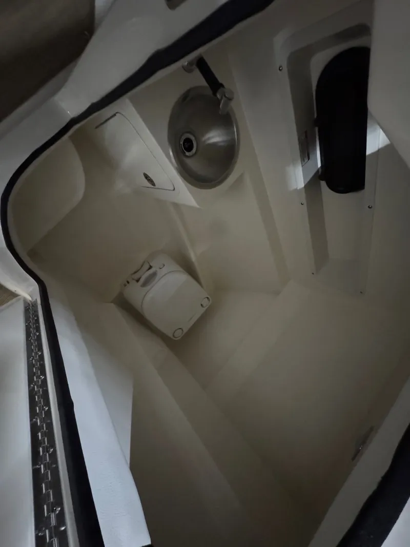 Slide: The Image of Sea Ray SDX 270 2020 - 11